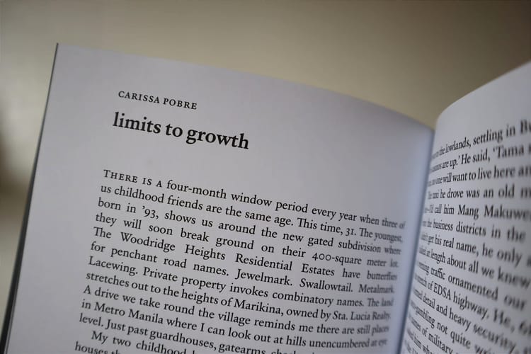 limits to growth